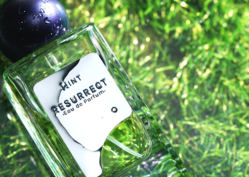 Earthy Fragrance Recommendations Perfect for the Rainy Season