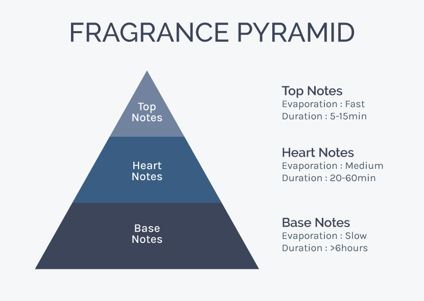 Top Notes, Middle Notes, Base Notes: The Fragrance Layers You Should Know